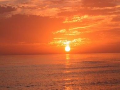 Siesta Key Condo 896284
